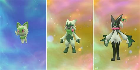 what does sprigatito evolve into|Pokémon Scarlet and Violet Starter Evolutions,。